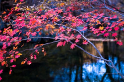 日韩一区二区三区四区五区分类界面